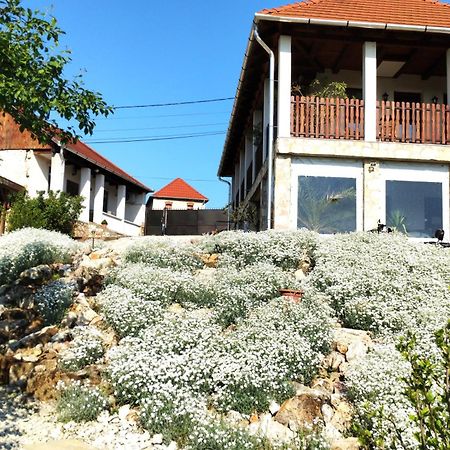 Tokaj Hill Panorama Guesthouse Szerencs Exterior foto