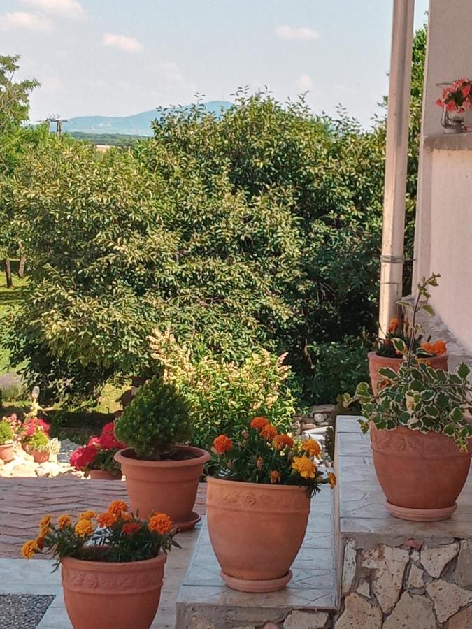 Tokaj Hill Panorama Guesthouse Szerencs Exterior foto