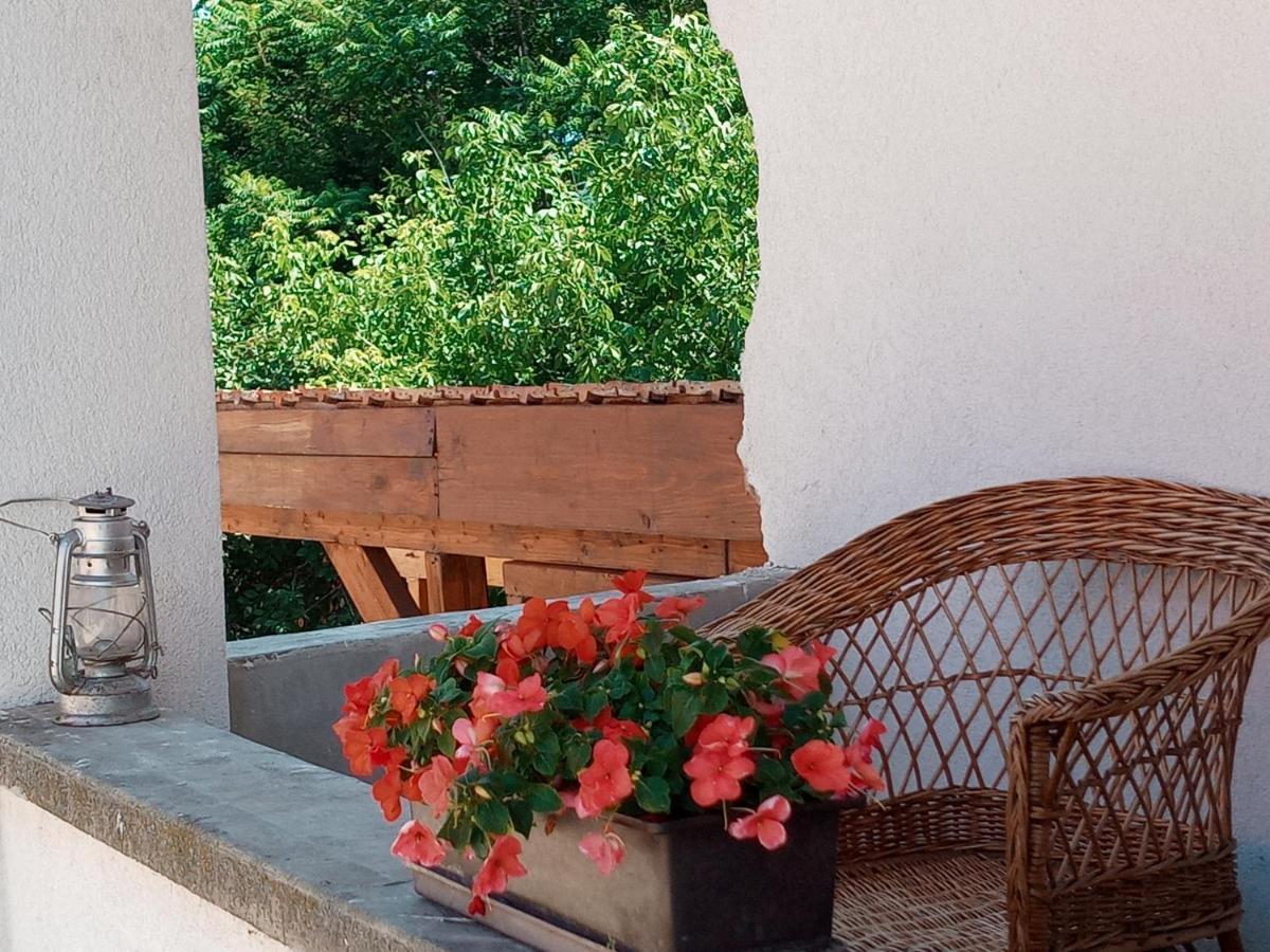 Tokaj Hill Panorama Guesthouse Szerencs Exterior foto