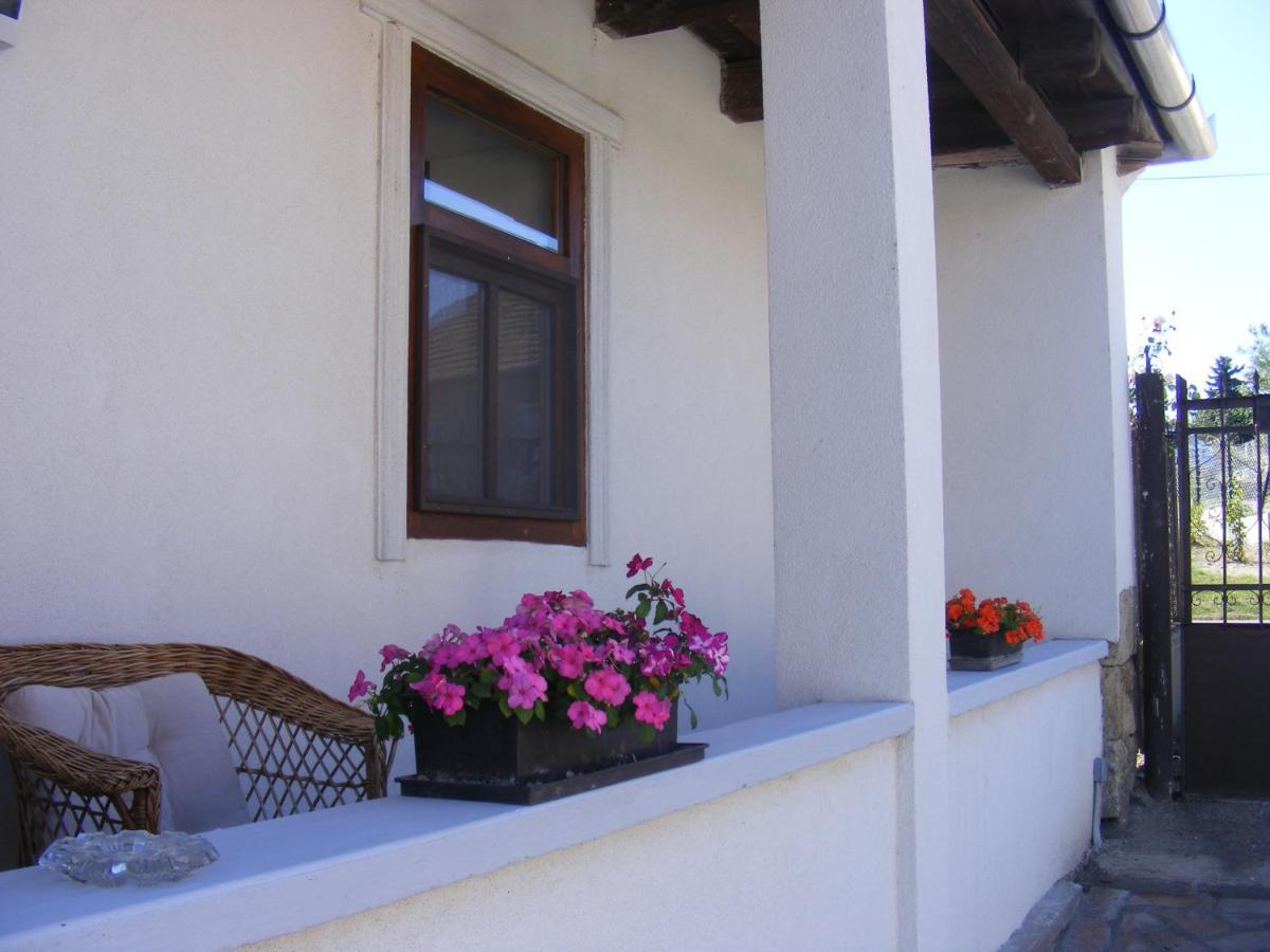 Tokaj Hill Panorama Guesthouse Szerencs Exterior foto