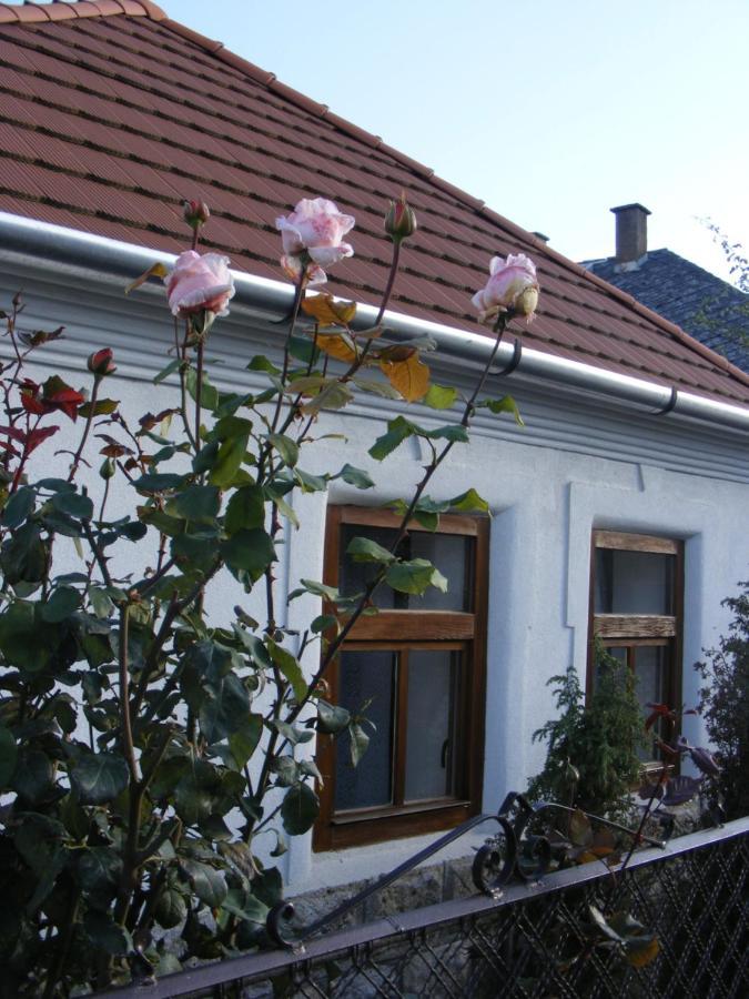 Tokaj Hill Panorama Guesthouse Szerencs Exterior foto