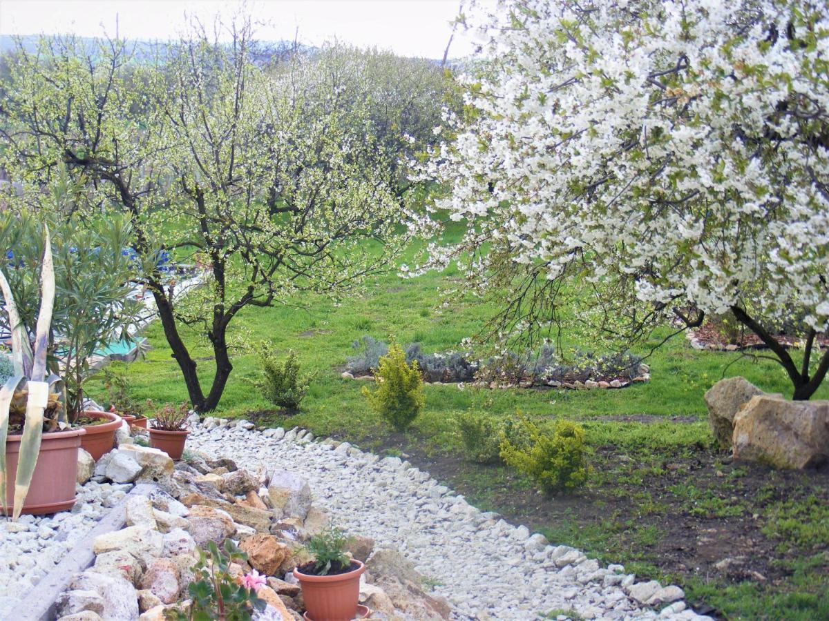 Tokaj Hill Panorama Guesthouse Szerencs Exterior foto