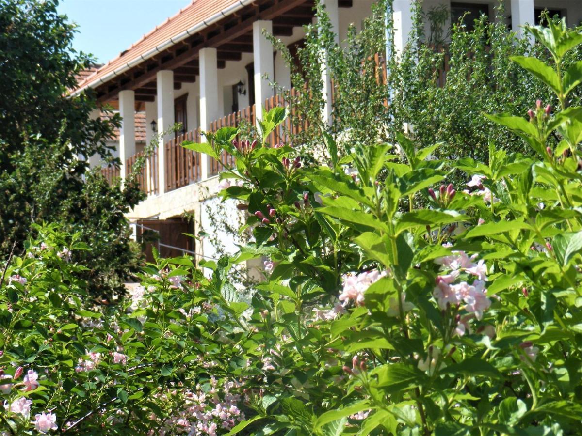 Hegyaljai Panorama Vendeghaz Hotel Szerencs Exterior foto