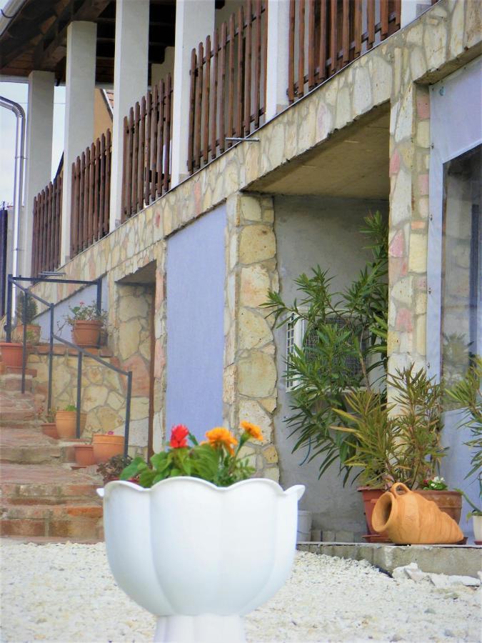 Tokaj Hill Panorama Guesthouse Szerencs Exterior foto