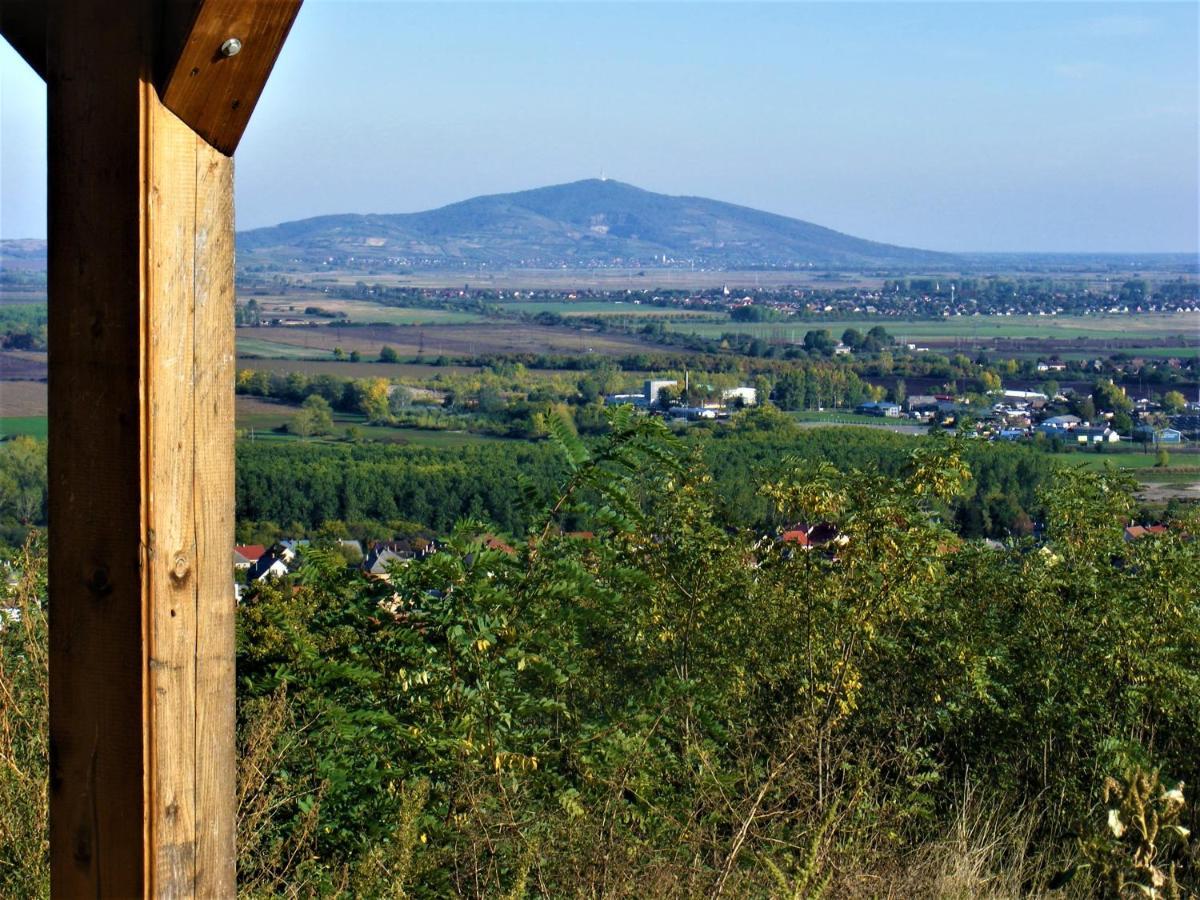 Tokaj Hill Panorama Guesthouse Szerencs Exterior foto