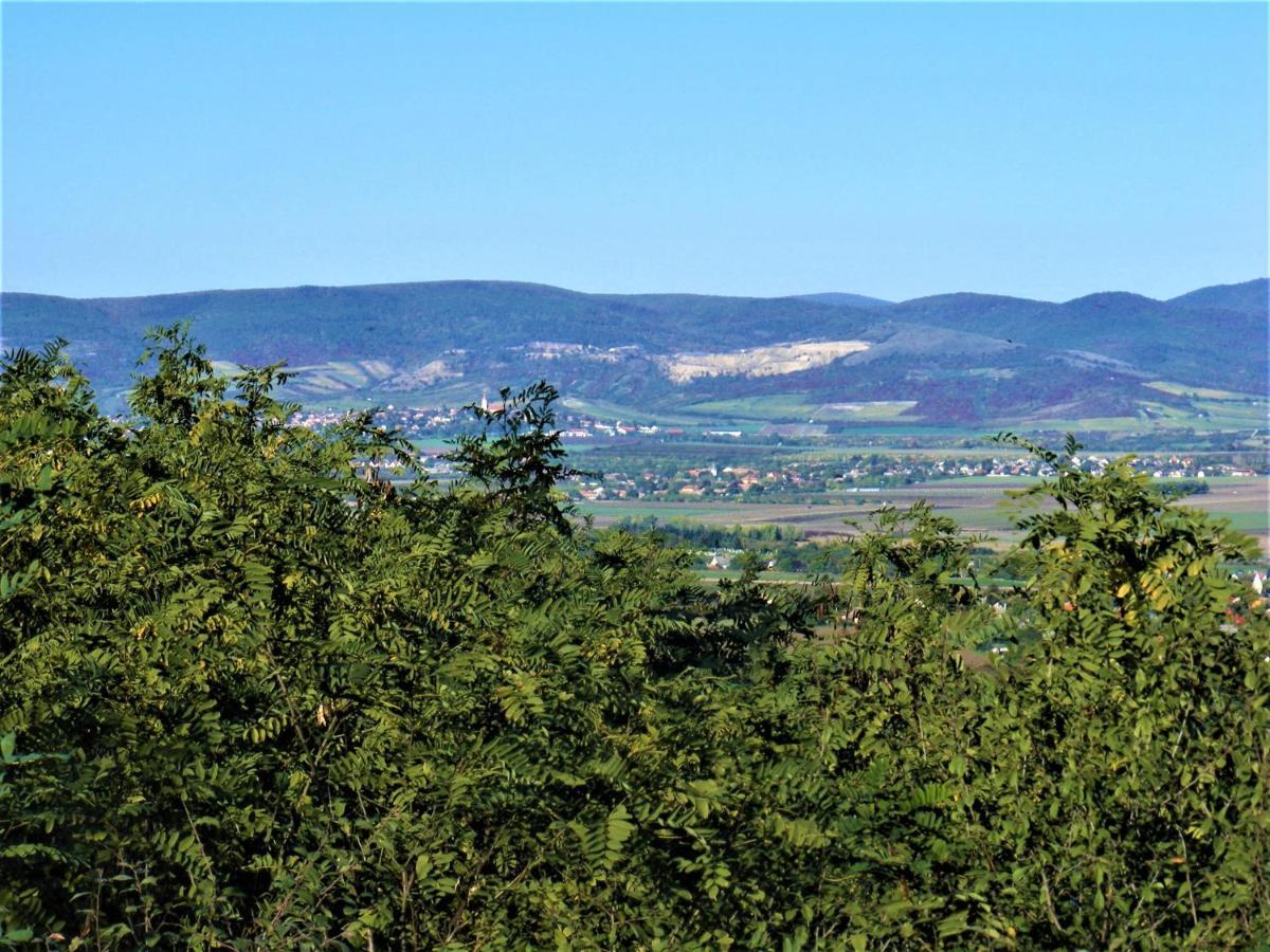 Hegyaljai Panorama Vendeghaz Hotel Szerencs Exterior foto