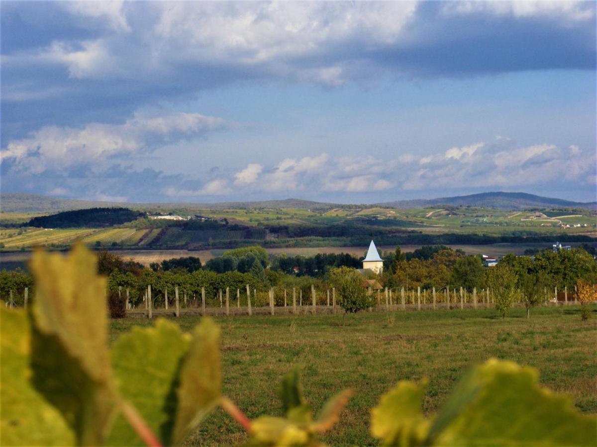 Tokaj Hill Panorama Guesthouse Szerencs Exterior foto
