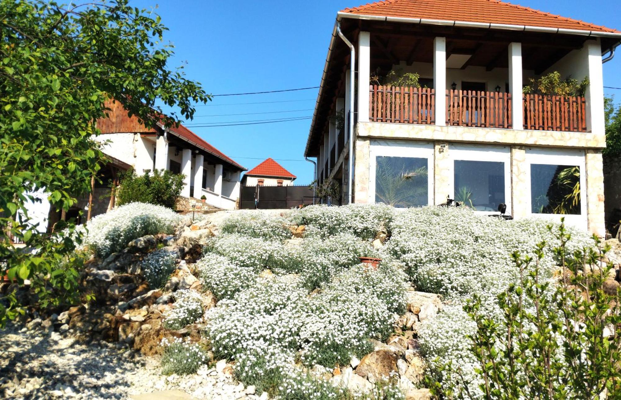 Tokaj Hill Panorama Guesthouse Szerencs Exterior foto